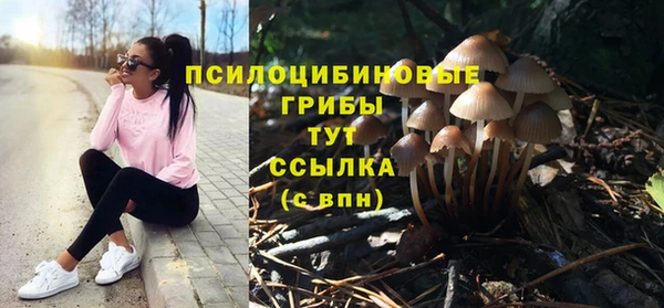 ALPHA PVP Пестово