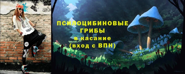 jwh Пересвет
