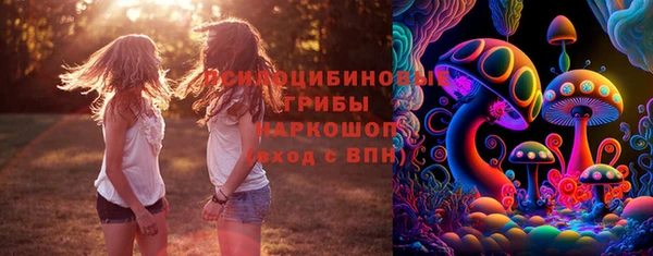 МДПВ Остров