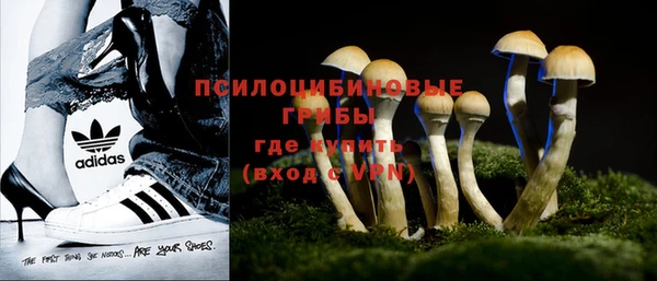 jwh Пересвет