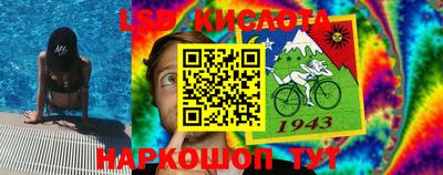 амф Кингисепп