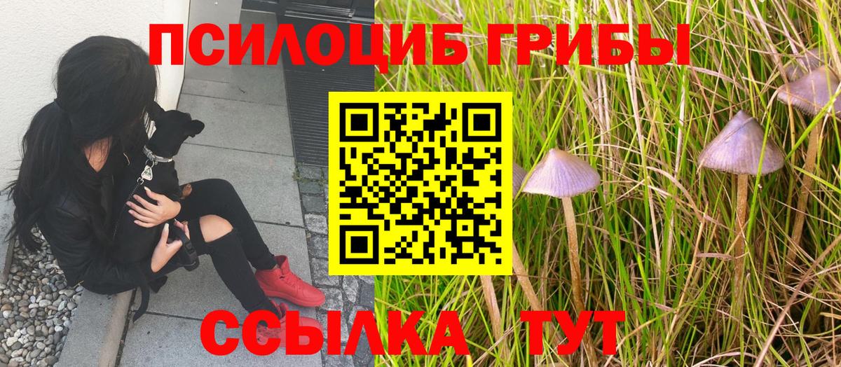 Галлюциногенные грибы мухоморы Лянтор